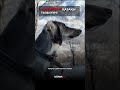 🇰🇿🐕3 қыркүйек- Қазақы тазы күні.