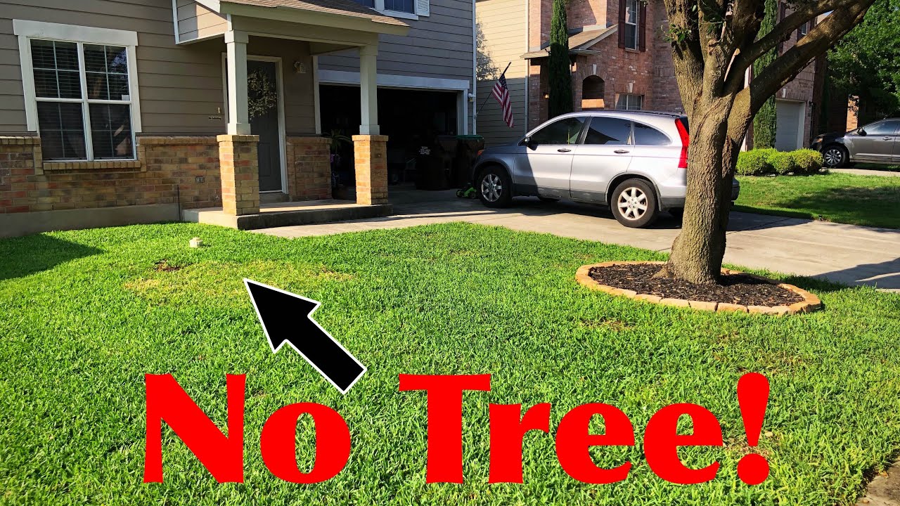 Stump Grinding and Sod Laying YouTube