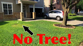 Stump Grinding and Sod Laying
