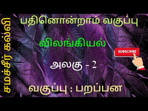 11ஆம் வகுப்பு | விலங்கியல் | சமச்சீர் கல்வி |