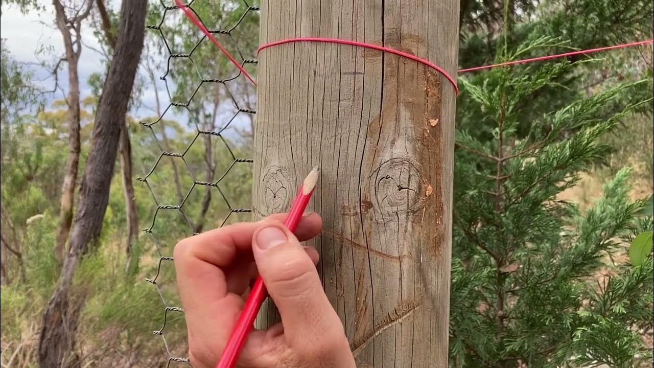 Rural fence end assembly procedure Part 5 of 21 YouTube