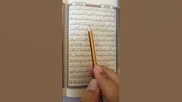 تعليم سورة الأنعام الآية 144