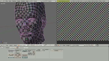 CGC Classic: Unwrapping a Human Head (Blender 2.4)