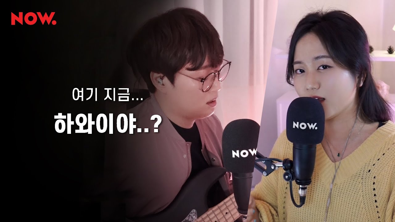 니가 가라 하와이? 같이 갈래.. 하와이? 🏝 하와이야 (Hawaiiya) 새벽 찐!라이브