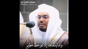 ولا تستوي الحسنة ولا السيئة تلاوة من الشيخ ياسر الدوسري