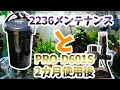 エーハイム エココンフォート2236のろ材メンテナンスとCO2ジェネレーターPRO-D601Sの2カ月経過レポ