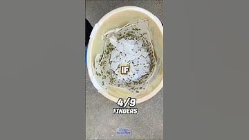 Put a finger down - Depressed edition😞 #shorts #viralshorts