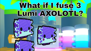 What happened if I fuse 3 Lumi axolotl? Pet Simulator X |Roblox|