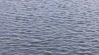 Water shot JPEG 2000