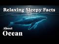 100 Relaxing Ocean Facts for Deep Sleep — Dreamy Science