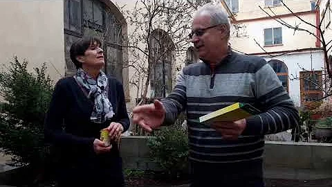 Jak se zbavit mravence?