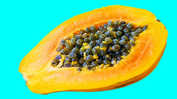 Oddly Satisfying Hidden Patterns Inside Fruit and Vegetables Stop Motion Animation ASMR 1000+