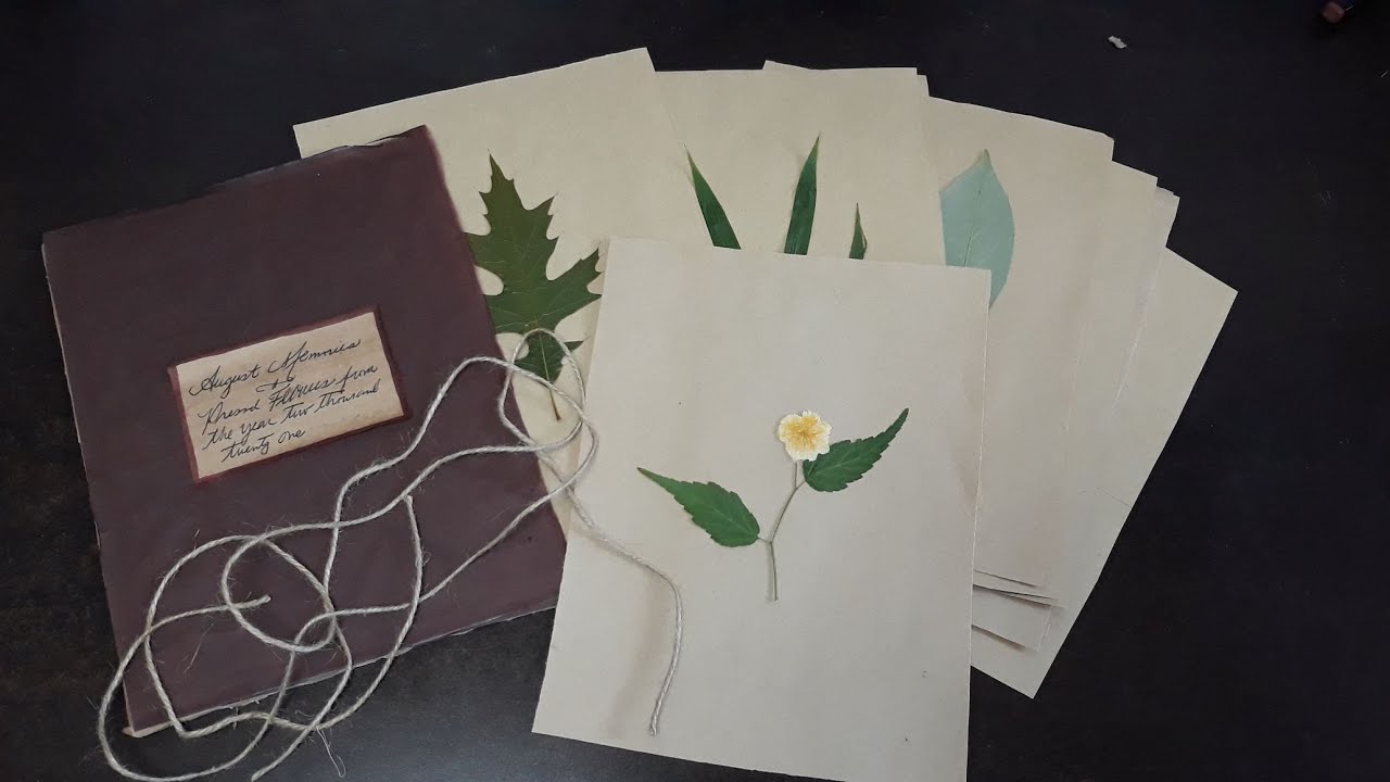 How to Properly Press Flowers & Leaves (Victorian Cottagecore Pressed Flowers Book)