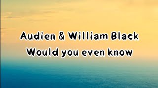 Audien \u0026 William Black - would you even know ( lyrics )