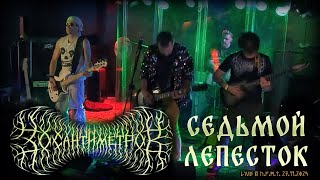 30 сантиметров | 7 лепесток | Hi-Fi vs. Rammstein | Live mashup cover video
