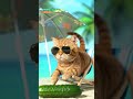 Cat vs Cucumber: The Ultimate Showdown! 😂🙀 #shorts