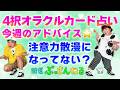【４択占い】今週の動き方をオラクルカードで占います『パシンペロンはやぶさ開運ぶっさんねる』