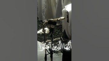 #اللهم صلي وسلم على سيدنا محمد #قرآن كريم #الشيخ ياسر_الدوسري #راحة نفسية