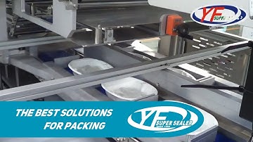 Meal Tray Box Continuous Packaging Sealing Machine - Double Clamp | ET-600L2VGF4 | YF SUPER SEALER
