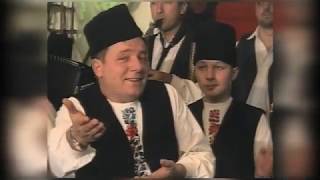 Žika Cvetković - 20 de anj trekura