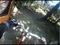 DH panicrew cimone