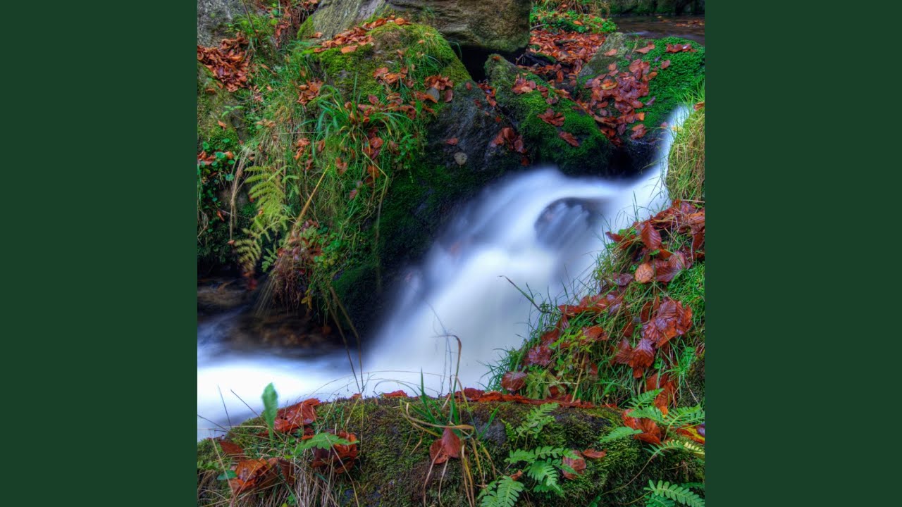 Blissful Dreams at Waterside