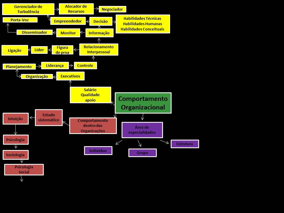 O que é comportamento organizacional ? YouTube