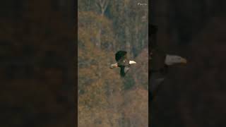 Touching The Sky 9 - 16