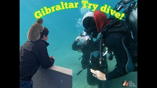 Unveiling Gibraltar's Underwater Beauty - Try Dive Adventure
