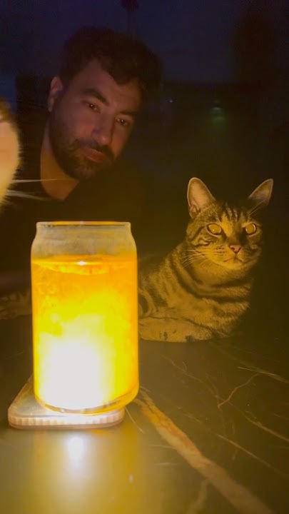DIDIN’T BELIEVE THIS WAS POSSIBLE! #cat #youtubeshorts #funny #fun #family #viralvideo #magic #fyp - YouTube