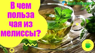 В чем польза чая из мелиссы?