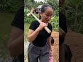 Bà cụ không có nhà.| khều vỏ sữa..🥛 người mẹ vô tâm…😿 [ tập 17 ] #shorts