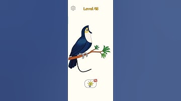 DOP 4 Level 45 : All Levels - Kids Game - Brain Game - #short #shorts #shortviral