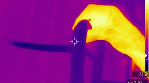 Температура тела змей и их яиц (body temperature of snakes and their eggs)