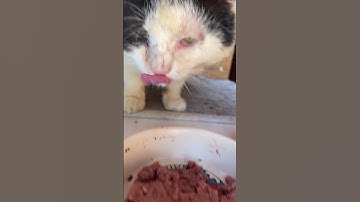 First video testing (might delete later)