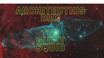 Astronomer Reveals Stunning Bat and Squid NEBULA