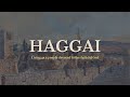 SWIMMING AGAINST THE CURRENT I Haggai I Erev Shabbat I Matt Frey