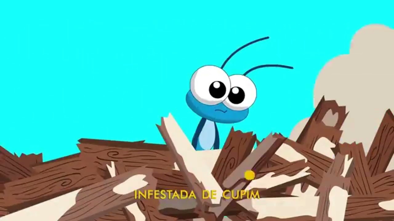 Fui Morar numa casinha Bob Zoom Reverso