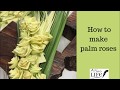 Palm sunday series how to make roses out of palms with sister carol ann and linda