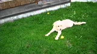 IMG0001