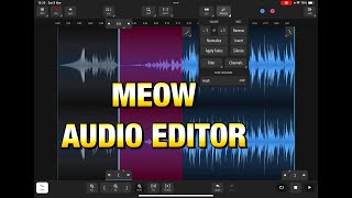 Meow Audio Editor - Fast & Precise Audio Editing by Seven Systems - Tutorial for the iPad