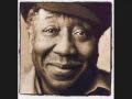 Muddy Waters - Mannish boy (from the album &quot;Electric mud&quot;)
