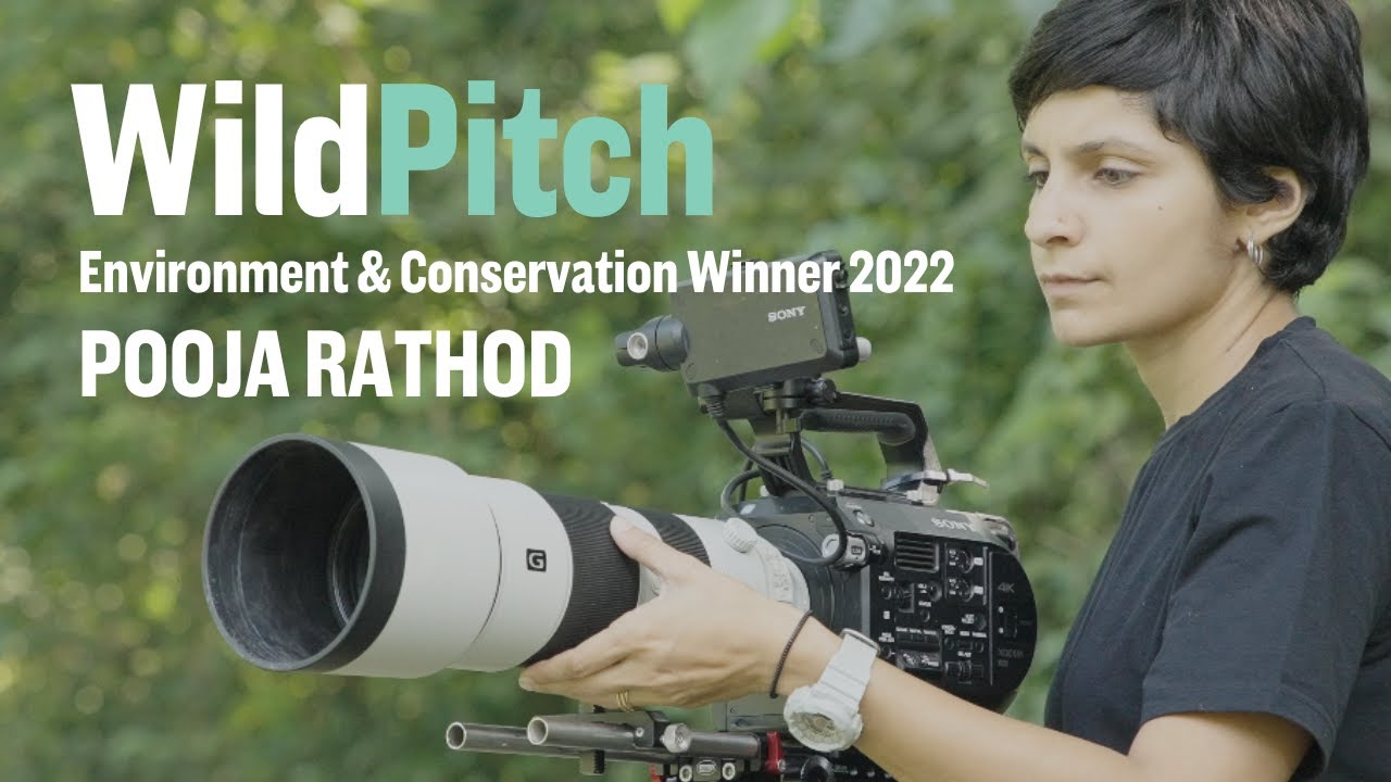 Pooja Ramesh Rathod WildPitch Winner 2022 - Pooja Rathod - YouTube