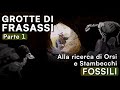 GROTTE DI FRASASSI, avventura alla ricerca di ORSI e STAMBECCHI FOSSILI