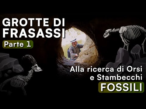 GROTTE DI FRASASSI, avventura alla ricerca di ORSI e STAMBECCHI FOSSILI