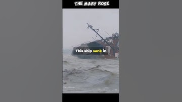 Unraveling the Mystery of the Mary Rose! #MaryRose #shorts