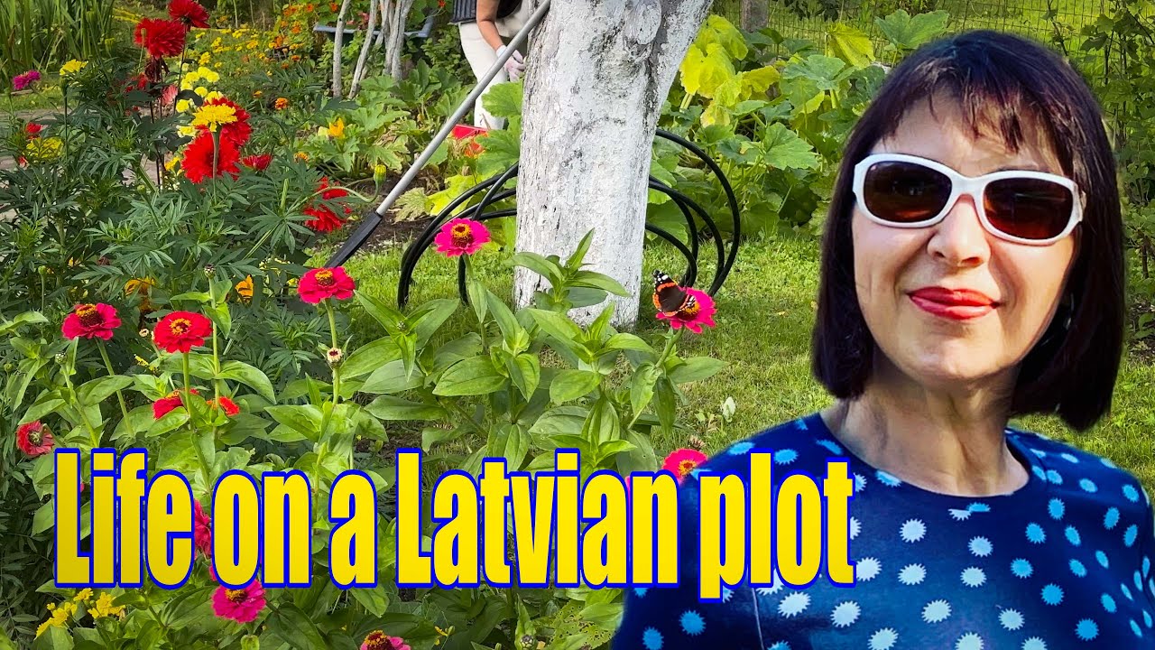 Vlog 235 - From Soviet plots to summer houses: Latvia’s dacha short story
