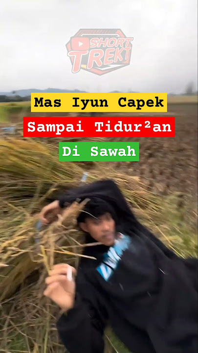 Di Sawah Panen Padi #fiturjelajah #masukberanda #videoviral #viraltiktok #masiyunterbaru