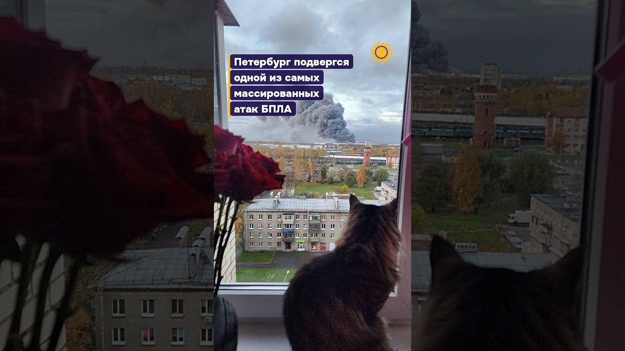 ⚡️Одна из самых массированных атак БПЛА на Петербург #бшновости