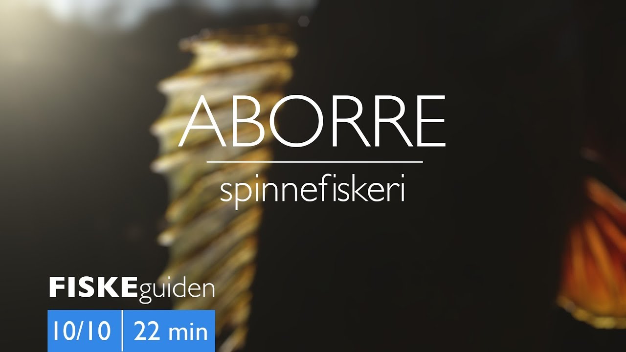 FISKEguiden 10/10: Aborre